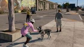 狗哥爆料新鞋视频大全下载,新鞋视频大全下载攻略  第1张